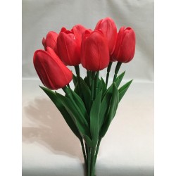 Tulipán piros