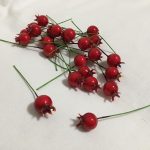 Csipkebogyó piros