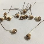 Mini gomba barna