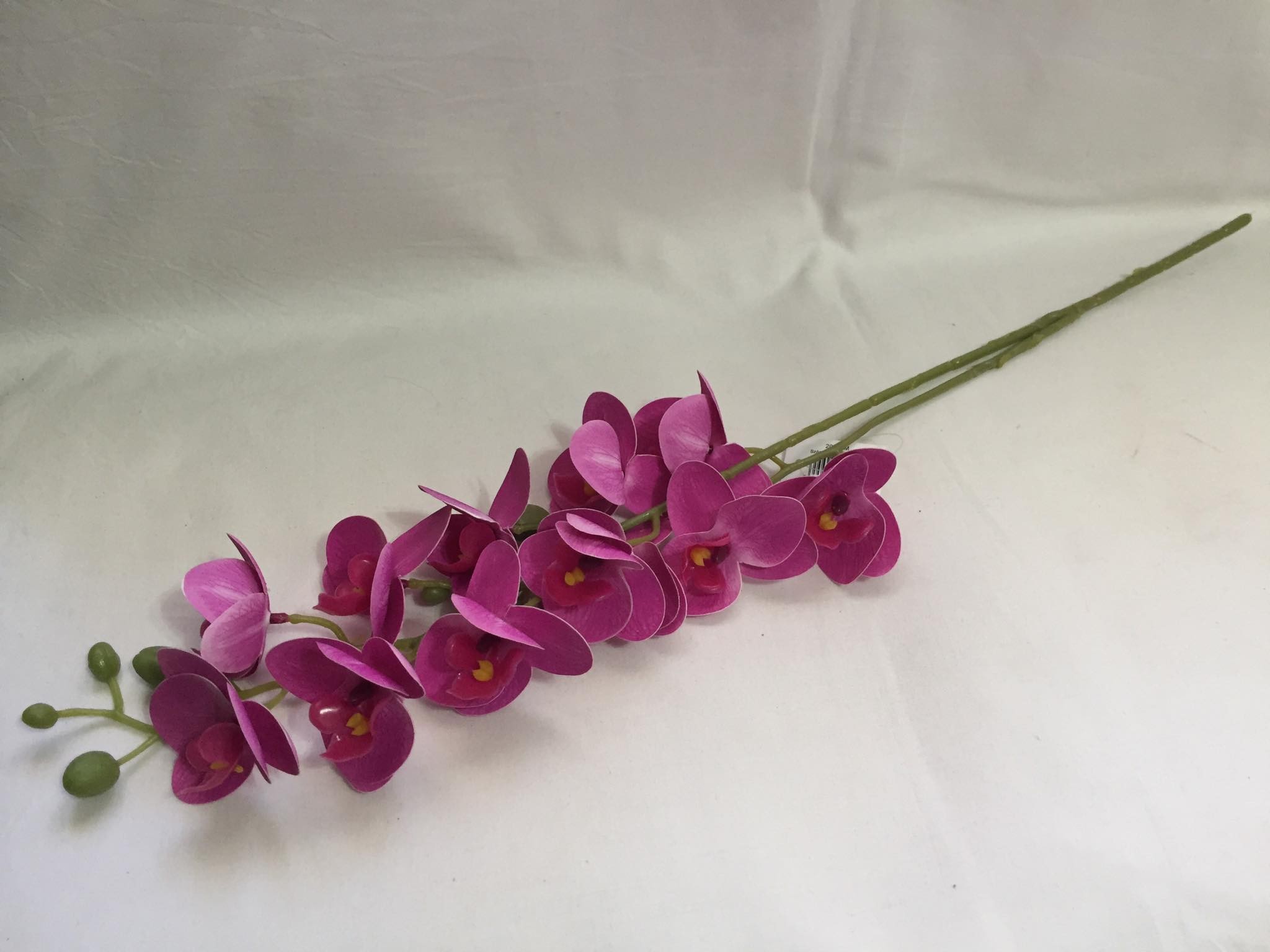 wp-image14461.jpg