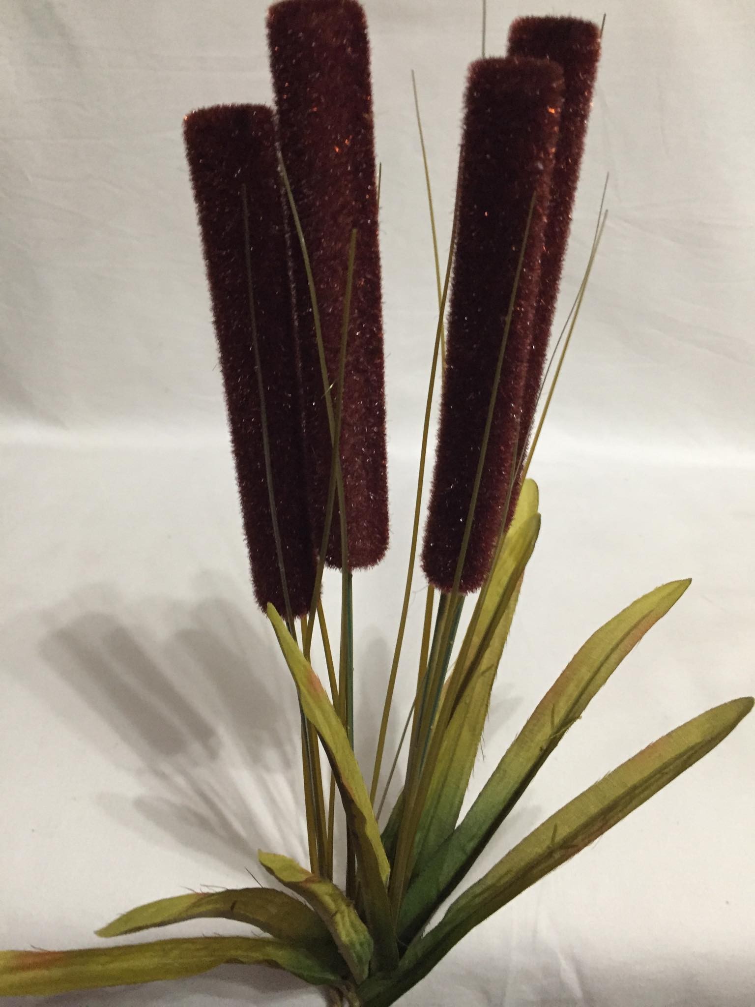 wp-image14823.jpg