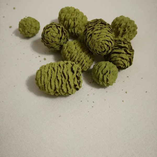 Cédrus toboz oliva